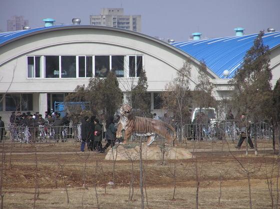 '시장'과 '시장경제'의 차이