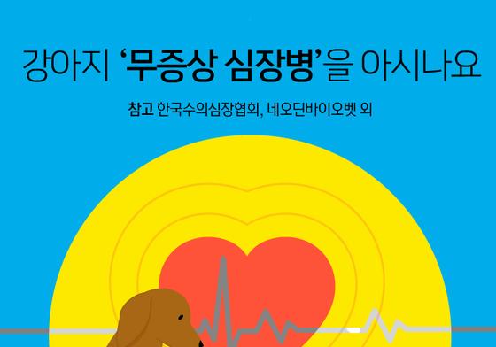 [펫카드]강아지도 걸리는 무증상 심장병…'이렇게' 관리하세요
