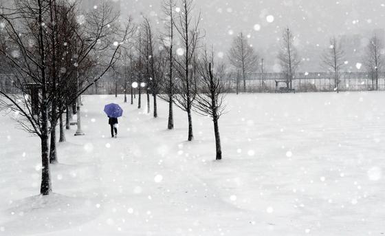 충북 8개 시군 대설주의보…내일까지 최대 7㎝