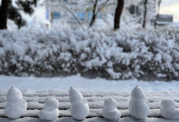 [오늘의 날씨] 강원(24일, 수)…최대 7㎝ 눈, 높은 물결