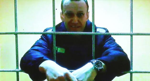 유럽 5개국 "나발니 시신서 개구리 독 검출…러시아 소행"