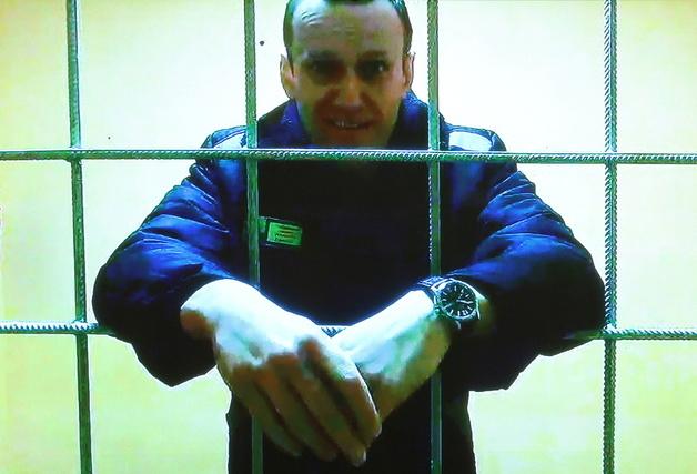 유럽 5개국 "나발니 시신서 개구리 독 검출…러시아 소행"