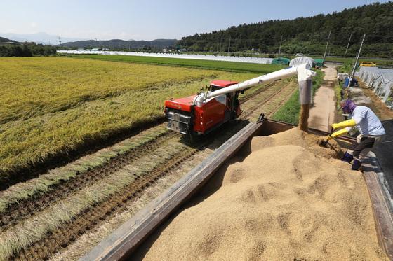 '농촌 인력난'해소…정부, 내년 외국인 노동자 10.2만명 투입