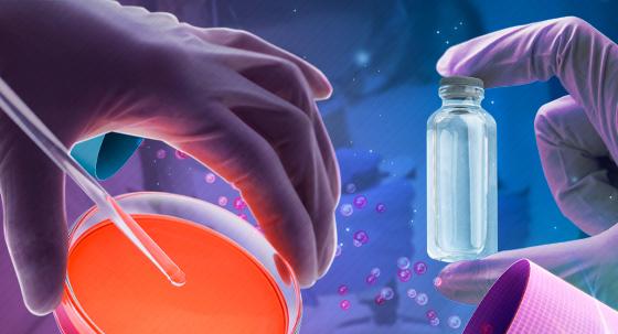 내년에도 빅파마 '특허 절벽' 계속…제네릭·시밀러 기업 기회