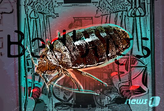 비행기 좌석서 빈대 꿈틀, 승무원은 "소란 떨지마"…항공사에 3억 소송