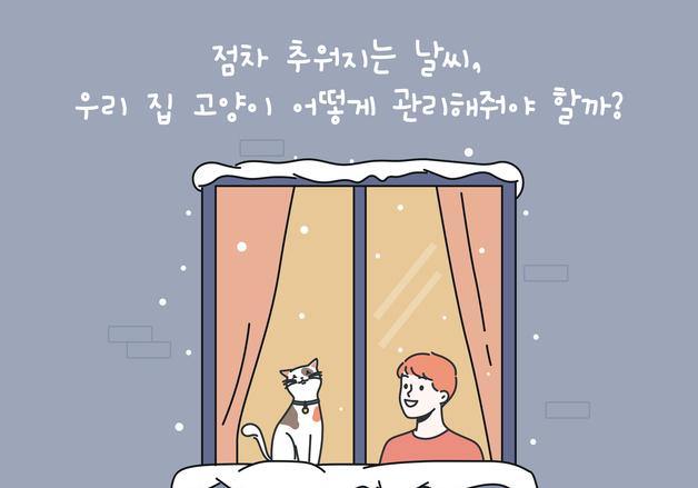 "추워지는 날씨"…우리집 고양이 겨울철 건강관리 어떻게[펫카드]