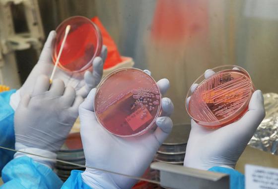 일주일 새 노로바이러스 환자 548명 발생…5년 내 최대