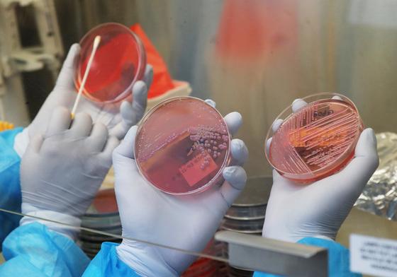 일주일 새 노로바이러스 환자 548명 발생…5년 내 최대