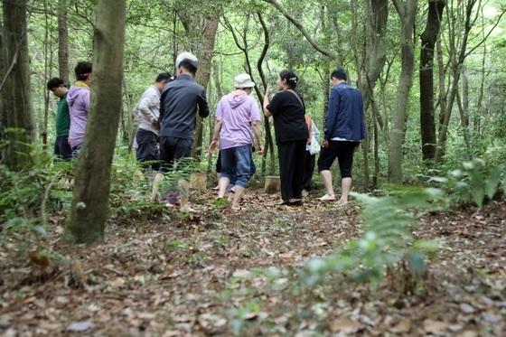 제주도, 곶자왈 보호지역 사유지 20㏊ 매입 추진