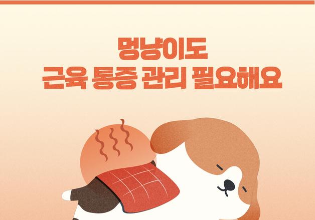 "반려동물도 근육 통증 있어요"…홈케어 방법 꿀팁은[펫카드]