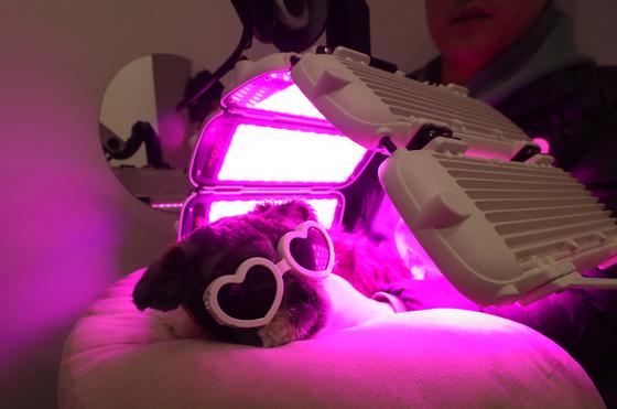 농식품부, '중동 전쟁' 장기화에 반려동물 의료제품 수급 점검