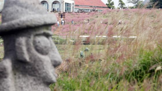 [오늘의 날씨] 제주(11일, 화)…아침 최저기온 9~11도