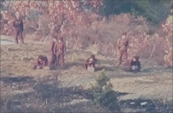 서부전선 DMZ 수색 중 지뢰 폭발 추정 사고…군인 2명 중상(종합)