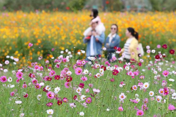 10년 전보다 노동시간 20% 줄었다…'일요일 가족 시간' 거의 세배로↑  