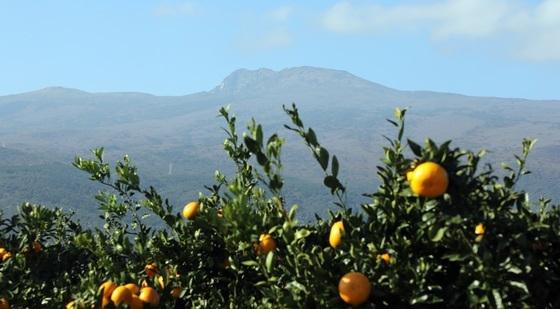 '겨울 맞나' 제주 서귀포 낮 최고 22.5도…역대 가장 따뜻한 12월
