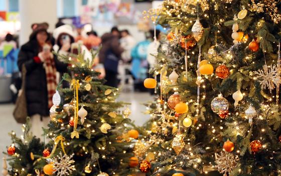 '곧 크리스마스'…제주 바다 앞 트리도 보고 이색 쇼핑도 하고