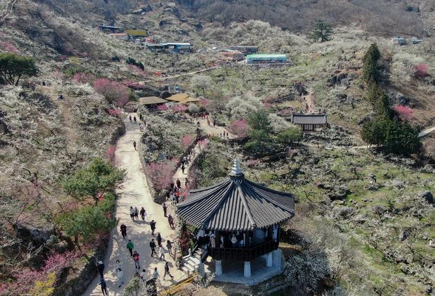 봄 축제 개막 '바가지 금지령'…적발 시 즉시 문 닫는다