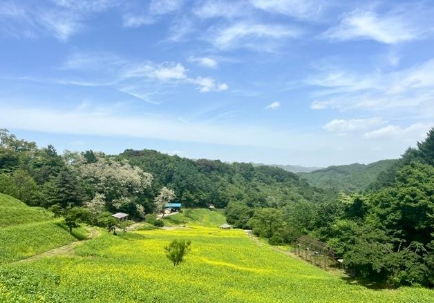 [오늘의 날씨] 충북·세종(29일, 금)…대체로 맑음·낮 최고 27도