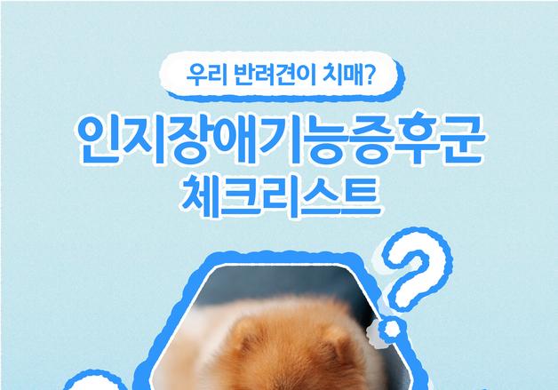 "짜증 늘어난 반려견, 가족도 못 알아봐요"…치매 체크리스트[펫카드]