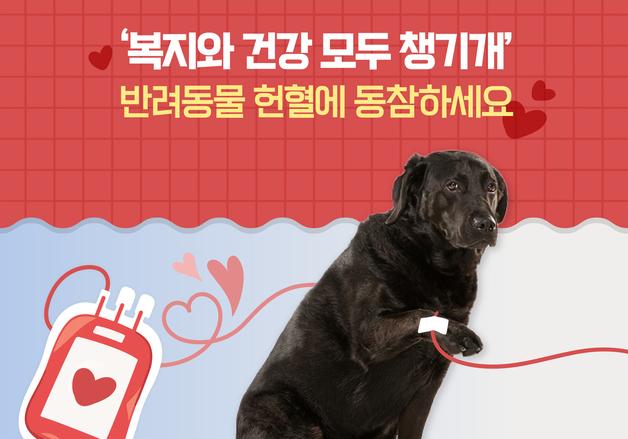 '복지와 건강 모두 챙기개'…반려동물 헌혈에 동참하세요 [펫카드]