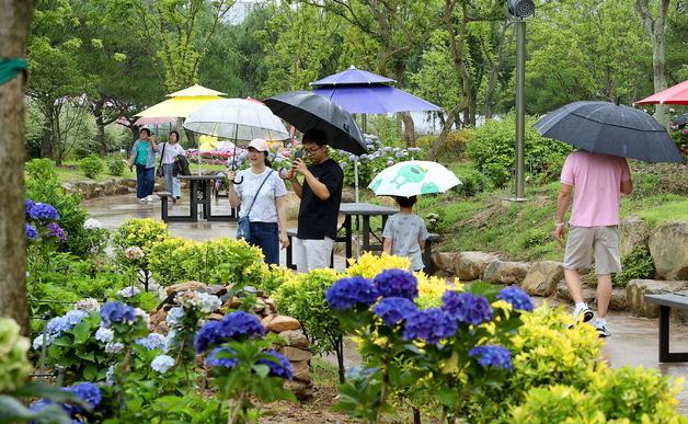 60억 확보한 강진 '반값여행'…이제 365일 연중 누린다 
