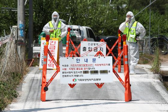 경북도 "김천 ASF, 특정 사료제조업체 원료 연관성 조사"…방역 강화