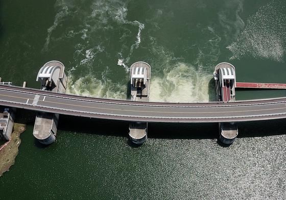 대구시 '녹조 계절관리제' 도입…"5~10월 낙동강 녹조 선제 대응"