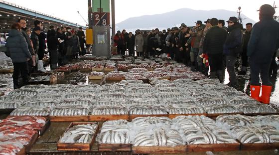 부산공동어시장 2일 새해 첫 경매…'글로벌 K-푸드 기지' 도약 선언