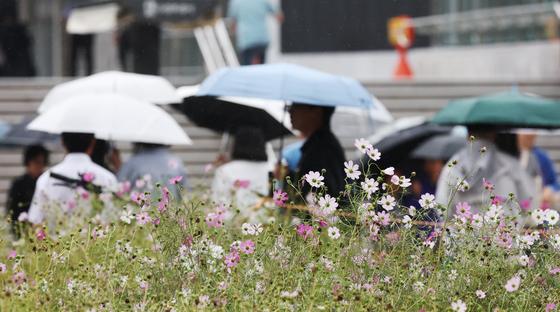 전국 흐리고 남부 중심 비…낮 20도 안팎 '포근'[오늘날씨]