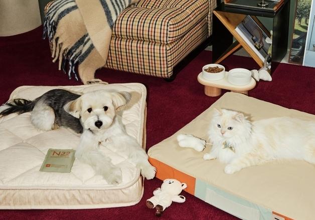 울 댕냥이 침대부터 청소기까지…'펫팸족' 제품 눈길