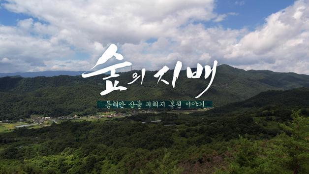 MBC강원영동, 산불 피해지 복원 특집 다큐 '숲의 지배' 방영