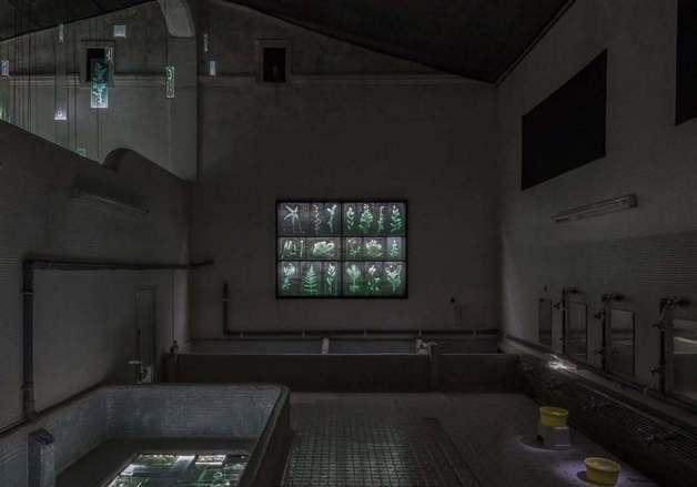 망한 일본 목욕탕에 유리꽃 피었다…기후붕괴에 잔해 된 자연