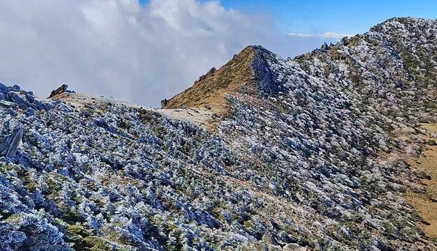 [뉴스1 PICK] 제주 한라산·덕유산서 올해 첫 '상고대'