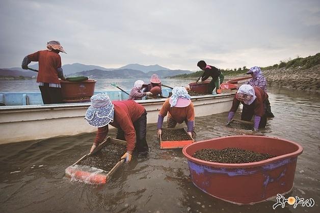 광양시, 세계중요농업유산 등재·국제우호도시 협약 
