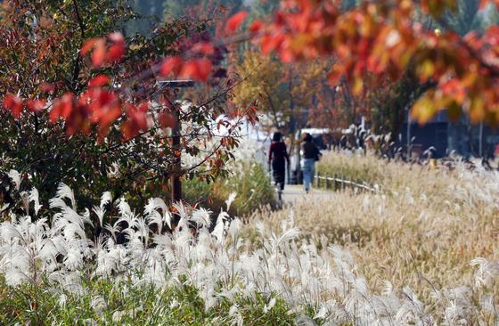 [오늘의 날씨] 세종·충북(9일, 일)…흐리고 한때 비, 최저 8도