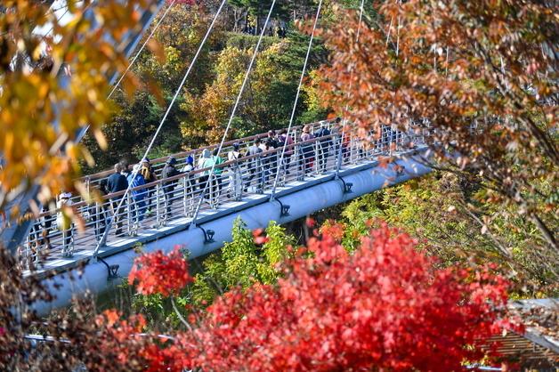 '영주댐 전국 건강걷기대회' 15일 개최