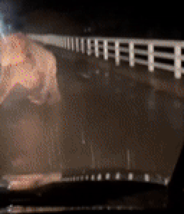 홋카이도 지역에서 주행 중인 차량에 곰이 달려들고 있는 모습./엑스(옛 트위터)