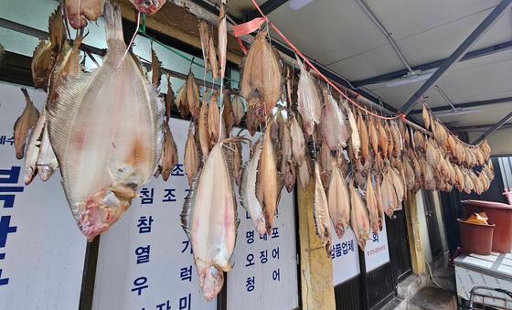 [오늘의 날씨] 대구·경북(11일,화)…아침에 찬바람, 낮 13~16도