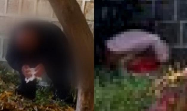 경복궁 돌담 앞 바지 내린 중국인 남녀…대변 테러