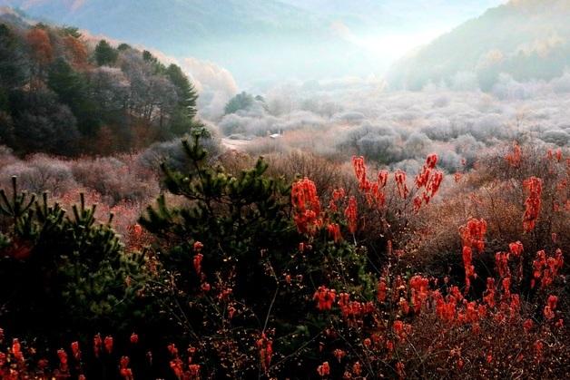 [오늘의 날씨] 강원(13일, 목)…내륙·산지 안개, 일교차 큰 날씨