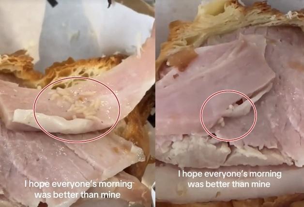 "한 입 먹은 크루아상에 구더기 수십마리 꿈틀"…호주 카페 영상 300만 조회 '난리' 