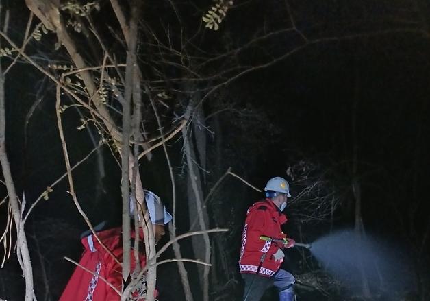 천안 유량동 산불, 1시간 43분 만에 주불 진화