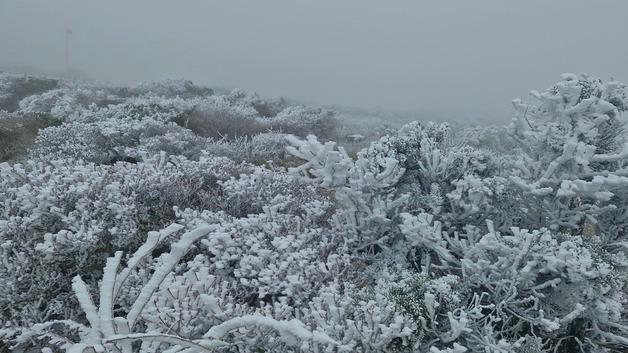 [오늘의 날씨] 제주(5일, 금)…낮 최고기온 10~13도