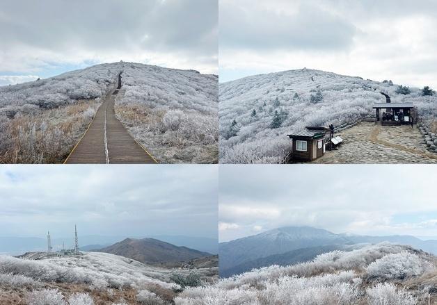 [풍경] "겨울 시작 알렸다"…지리산 노고단에 올해 첫 상고대