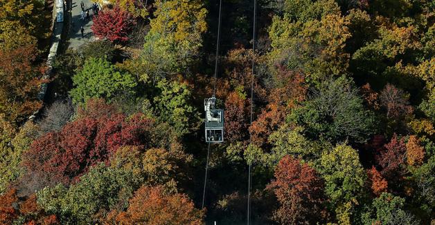 [뉴스1 PICK]'완연한 가을' 11월 첫 주말… 울긋블긋한 가을이 왔다