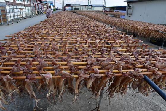 [오늘의 날씨] 대구·경북(4일, 화)…오후부터 맑고 낮 15~19도