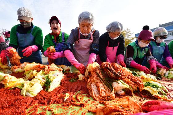 [뉴스1 PICK] 겨울 김장철 본격 시작…전국 곳곳에서 김장 준비 분주
