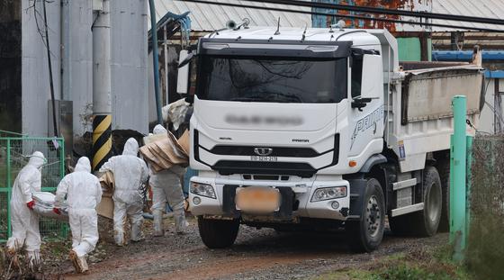 당진 ASF, 사람·물류 통해 유입 가능성…정부 '전방위 방역 강화'