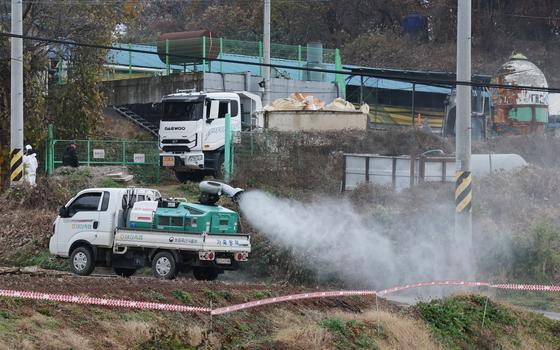 중수본, 충남 당진 아프리카돼지열병 농장 신속검사 결과 '이상 없음'