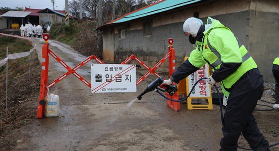 포천 농장 아프리카돼지열병…인접 8개 시·군 '이동중지'